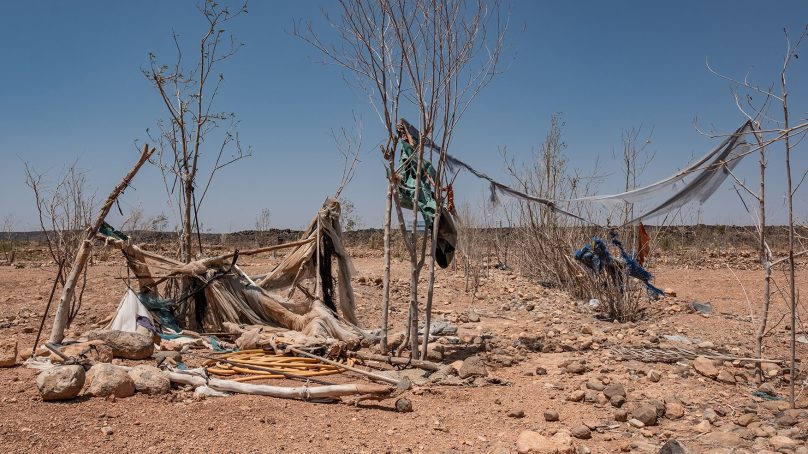 Why Sahel’s Great Green Wall is a non-starter: International funding often prioritises ‘Western imaginary of Africa’