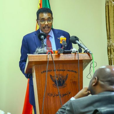 Sudan wants UN to sanction Kenya, UAE and other countries suspected of arming RSF rebels