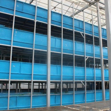 Kenya takes fishing farming to the desert with ‘construction’ of first ‘Vertical Lake’