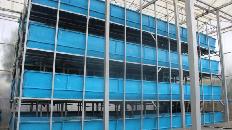 Kenya takes fishing farming to the desert with ‘construction’ of first ‘Vertical Lake’