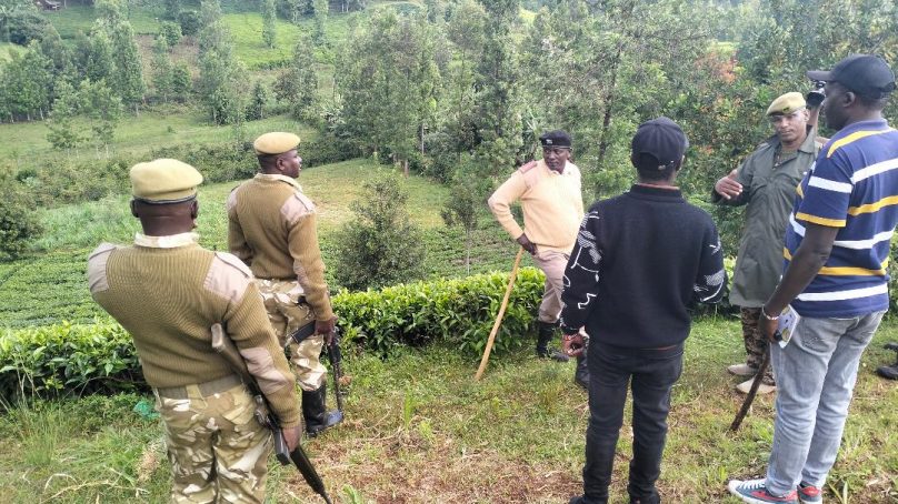 Human-wildlife conflict: KWS launches hunt for wolves ravaging central Kenya