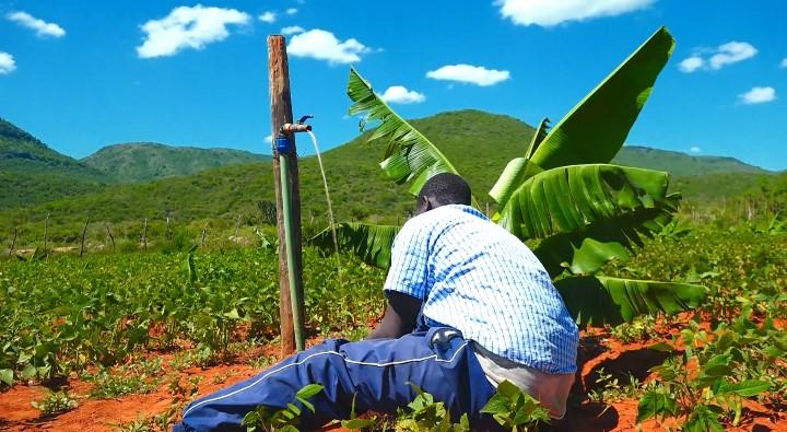 Ditching gun for hoe: How earnings from farming silence banditry in northwestern Kenya