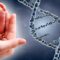 Silicon Valley tycoon gets backing of tech billionaires to create disease-resistant genetically engineered babies