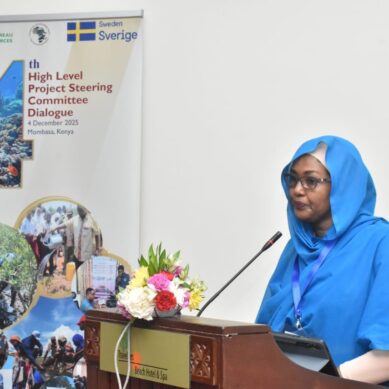 African nations warned against overfishing, illegal fishing as pirates take control of oceans