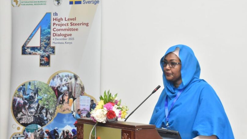 African nations warned against overfishing, illegal fishing as pirates take control of oceans