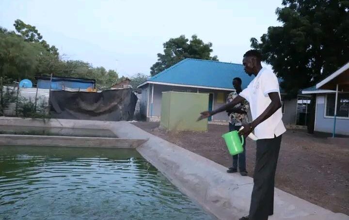 Fish farming in arid north-western Kenya’s Turkana County draws in interest of marginalised groups  