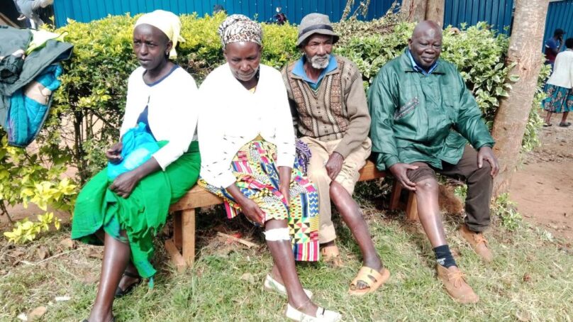 Tea farmers, livestock keepers in central Kenya demand reparations after wolves decimate stocks