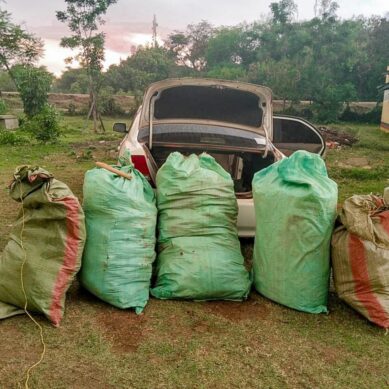 Kisumu emerges as leading origin or transit point of cannabis sativa and other hard drugs in Kenya