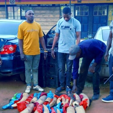 Kenyan police arrest Tanzanian and Kenyan with ivory suspected to have originated in Malawi