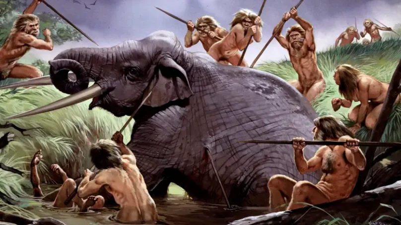 Archeological evidence obtained in Tanzania reveals early humans may have begun butchering elephants 1.8 million years ago