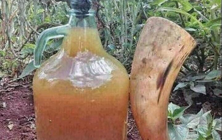 Kenya unveils robust programme to protect and commercialise indigenous knowledge