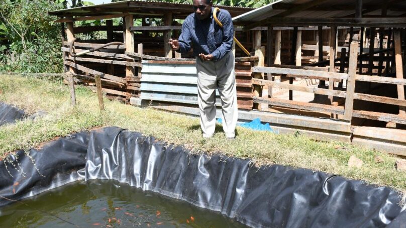 A walk with Kenyan presidents: Sleuth calls public reverence of Jomo Kenyatta as a god, Moi a workhorse and Kibaki paragon of excellence