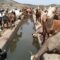 Relief for Turkana pastoralists after Kerio Valley authority drills 24,000-litre capacity borehole