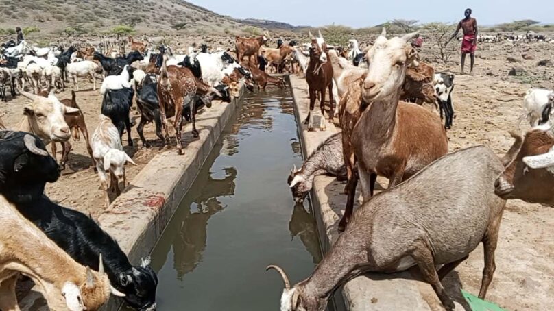 Relief for Turkana pastoralists after Kerio Valley authority drills 24,000-litre capacity borehole