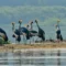 Empowering indigenous people: Demilitarising environmental conservation in Uganda 