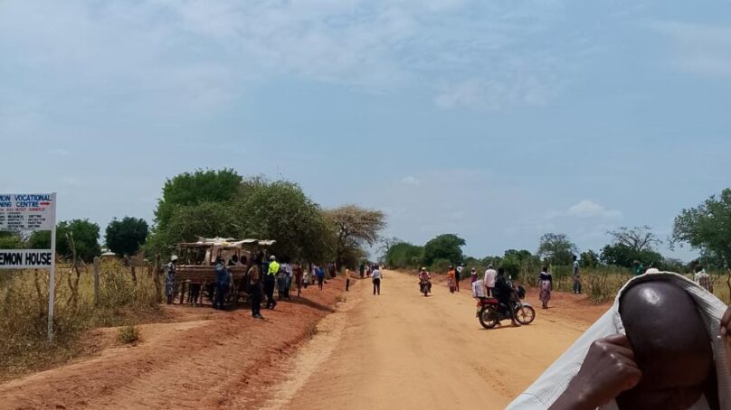 Swarm of bees invade burial in Makueni County in bizarre incident locals link to witchcraft