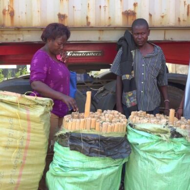 Multiagency team in Kenya intercepts trailer ferrying cannabis sativa worth $12,400 to Mombasa