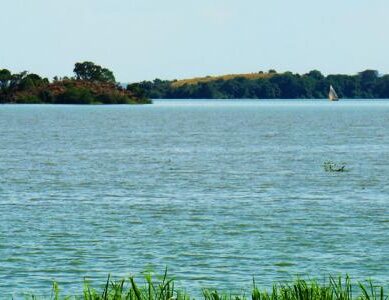 Conservation of wetlands and parks attracts investments and tourism, Seme residents in Kisumu told