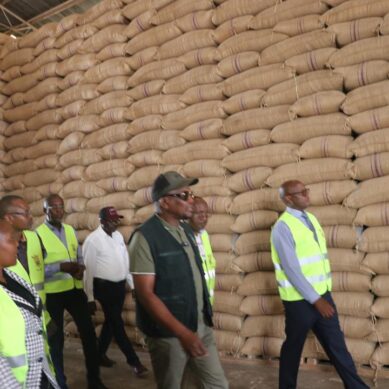 High Court approves phased duty-free rice imports to bridge current huge national deficit