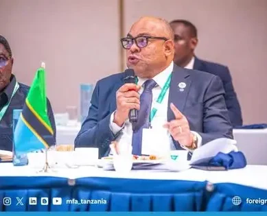 Tanzania backs stronger institutional cooperation on Nile River management at AU Summit