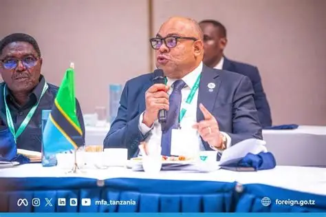 Tanzania backs stronger institutional cooperation on Nile River management at AU Summit