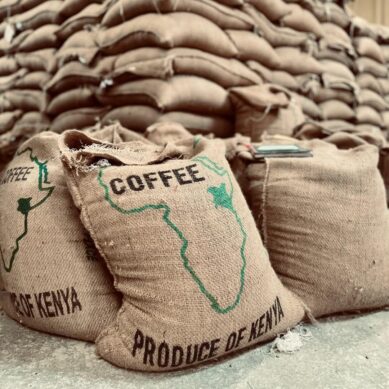 Nairobi Coffee Exchange weekly auction records marginal drop in volumes moved, with 30,824 bags valued at  $116.8 billion traded