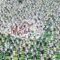 Mexico sets Guinness record after 9,500 people participated in 35-minute football lesson ahead of 2026 World Cup
