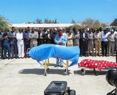 Somali national intelligence kills 22 al-Shabaab terrorists in central region as they planned attacks