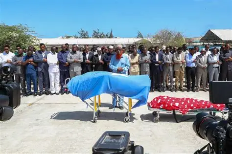 Somali national intelligence kills 22 al-Shabaab terrorists in central region as they planned attacks