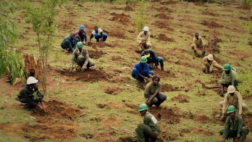 Museveni’s sterile policies: Uganda continues to export raw coffee, minerals and cheap labour while richer countries sell finished goods, control trade