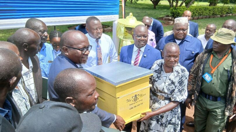 Farmers in Homa Bay County diversify into beekeeping as LBDA and Hive Ltd roll out honey project  