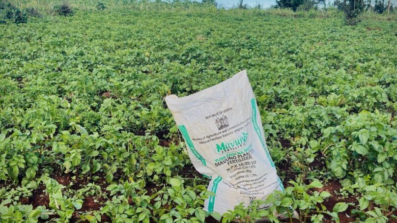 How US-Israel war with Iran has sparked global fertiliser shortage that’s hit eastern Africa hard