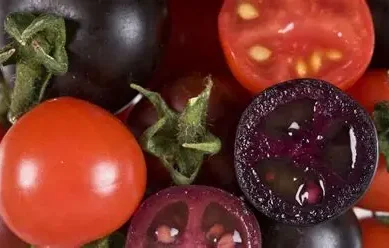 New study links GMO foods to increased risk of health problems in children