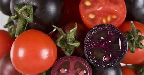 New study links GMO foods to increased risk of health problems in children