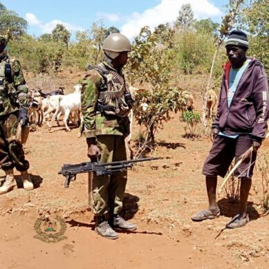 Rustlers in Samburu county kill herders, steal 500 goats as security concerns rise in northern Kenya