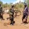 Rustlers in Samburu county kill herders, steal 500 goats as security concerns rise in northern Kenya