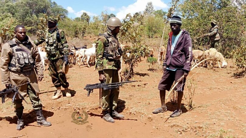 Rustlers in Samburu county kill herders, steal 500 goats as security concerns rise in northern Kenya