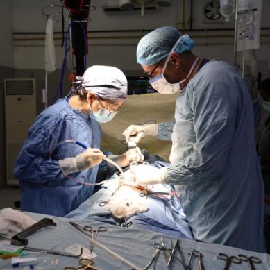 For 45 years, Chinese medical team brings healing, hope to Djibouti