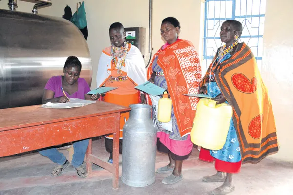 Arid and semi-arid Kajiado County in southern Kenya experiencing milk glut as to long rains season sets in