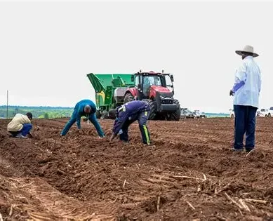 Globalisation, global village and global digital culture: Situation in Uganda after rapid espousal of one world