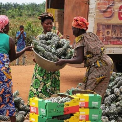 Bitter, spicy, sour and sweet: How Africa’s flavours are conquering receptive Chinese markets