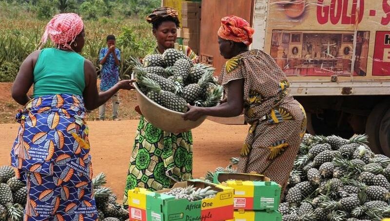 Bitter, spicy, sour and sweet: How Africa’s flavours are conquering receptive Chinese markets