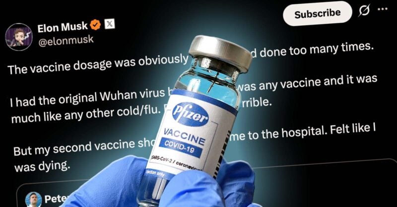 Elon Musk feared ‘I was dying’ after second Covid vaccine as former Pfizer chief toxicologist the vaccine killed over 60,000 in Germany