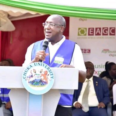 Eastern Africa Grain Council: Kenya grapples with post-harvest losses despite rise in output