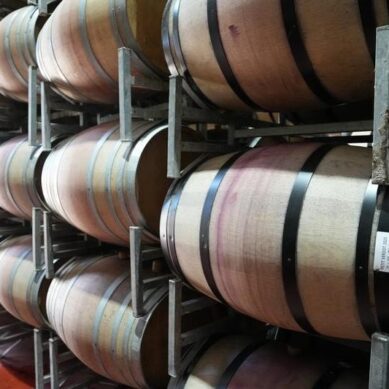 China’s zero-tariff policy on African exports sets doors ajar for South Africa’s wine industry growth