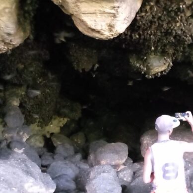 Cave with population of one million bats in central Kenya’s Tharaka Nithi County pulls in tourists