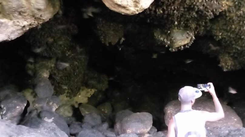 Cave with population of one million bats in central Kenya’s Tharaka Nithi County pulls in tourists