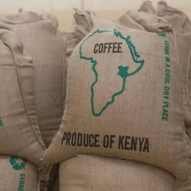 Earnings at Nairobi Coffee Exchange rake in $249 million compared to $180 million in previous season