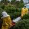 Why Ugandans want Bundibugyo name of Ebola virus currently ravaging eastern Congo changed to avoid stigmatisation