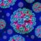 Kenya puts its airports, seaports and other entry points on high alert over hantavirus outbreak